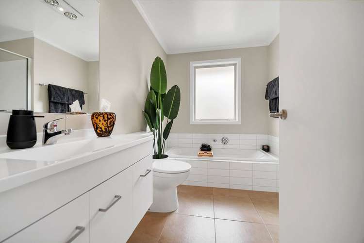 39 Exeter Street Stoke_10