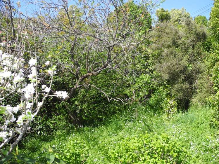 7 Julius Place Akaroa_12