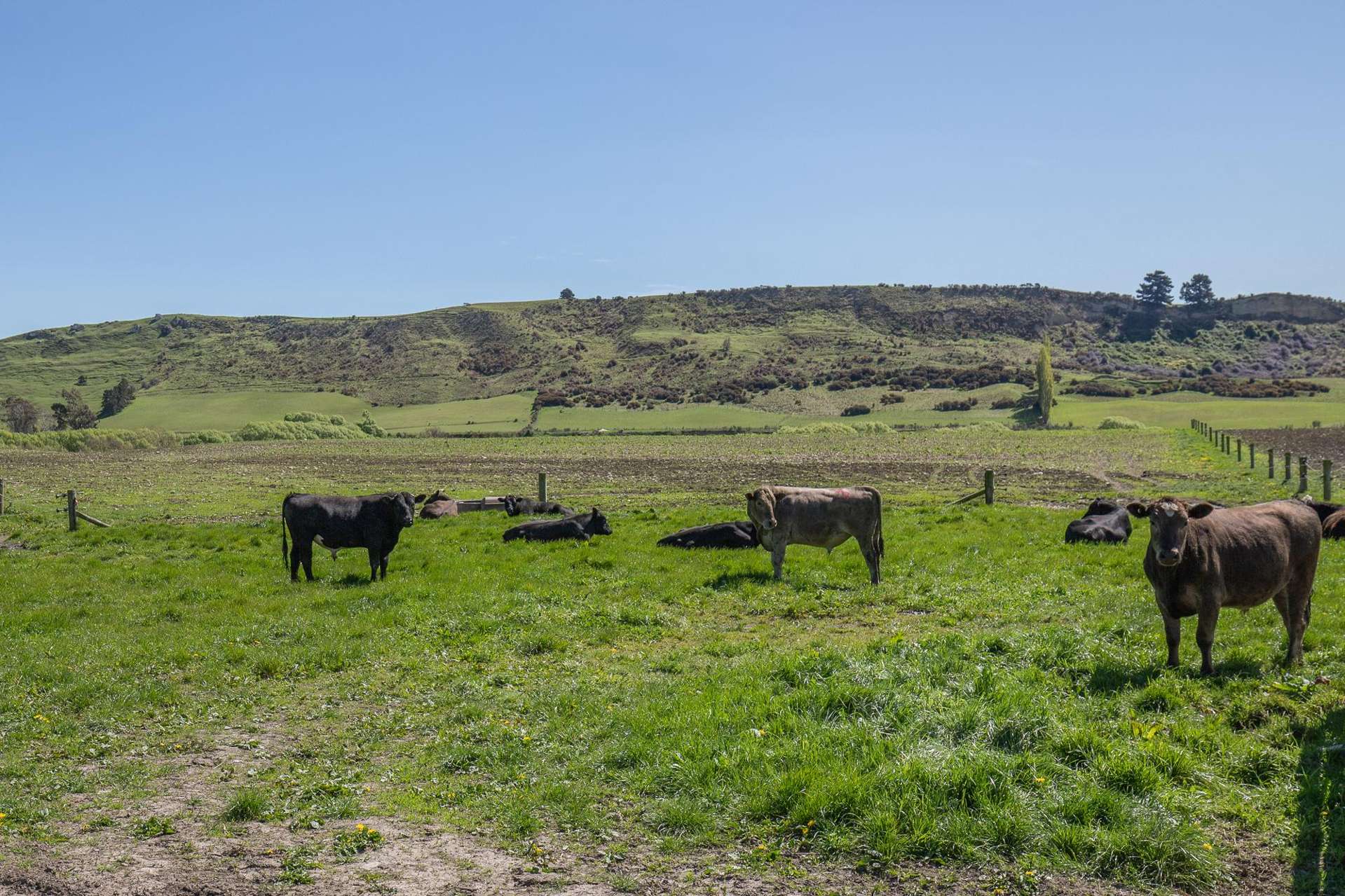 914 Gum Tree Flat Road Waimate_0