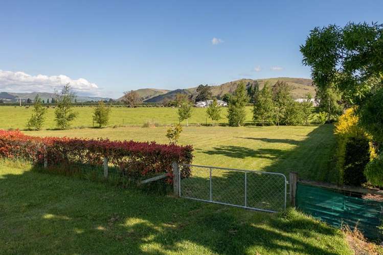 Domain Road Ettrick_5