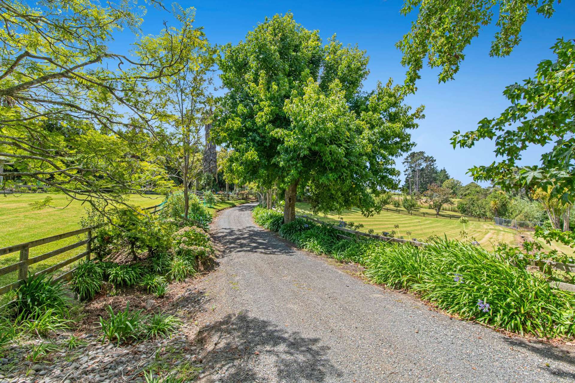 786 South Head Road South Head_0