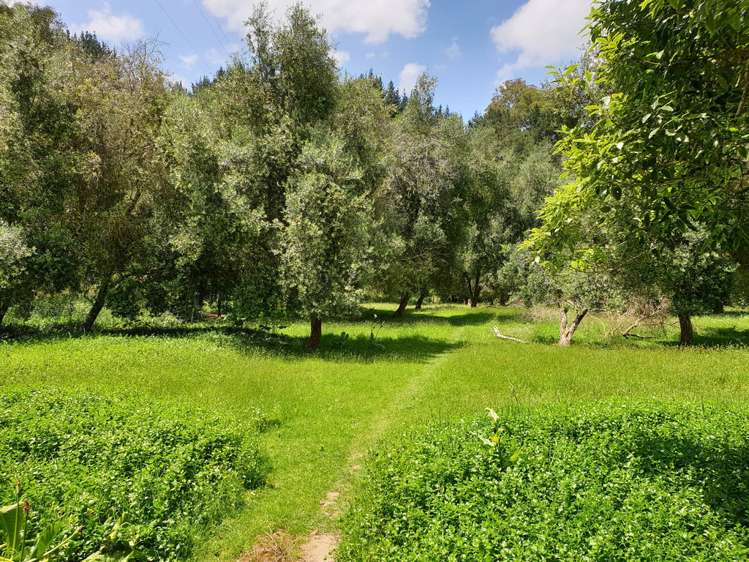 217 Taumatatahi Road Ruapehu-King Country Surrounds_19