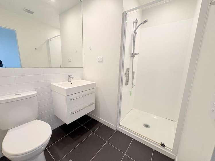  16/31 Princess Terrace Newtown_6