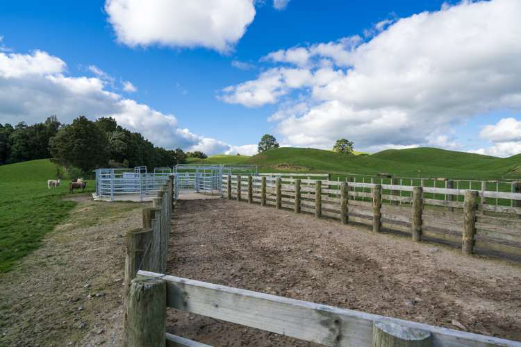 1443 Poihipi Road Oruanui_8