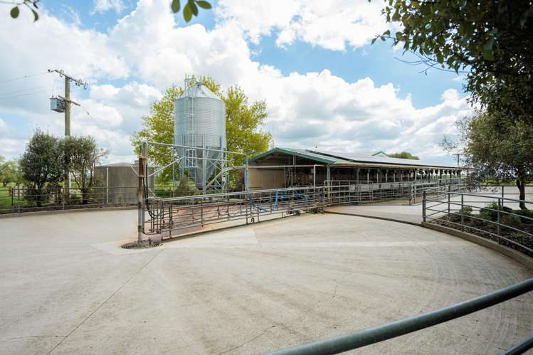 1001 Piako Road Gordonton_13