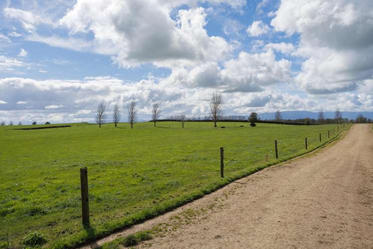 180 Cameron Road Morrinsville_22