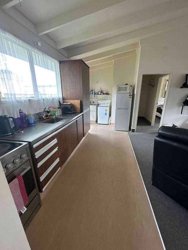 25A Reeve Street Levin_2