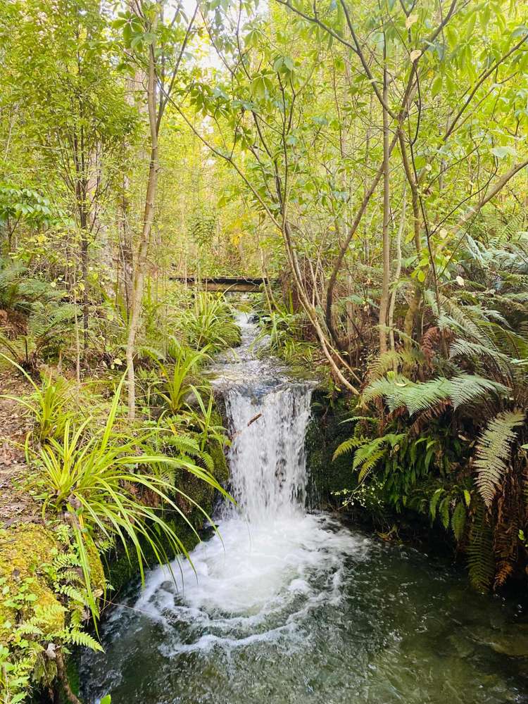 792D Glenorchy-Queenstown Road Closeburn_25