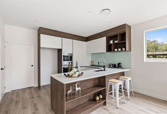 25a Tudor Road Henderson_2