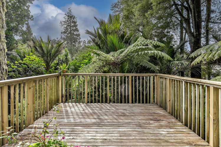 3 Paturoa Road Titirangi_5