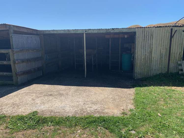 233 Goble Road Paeroa_14