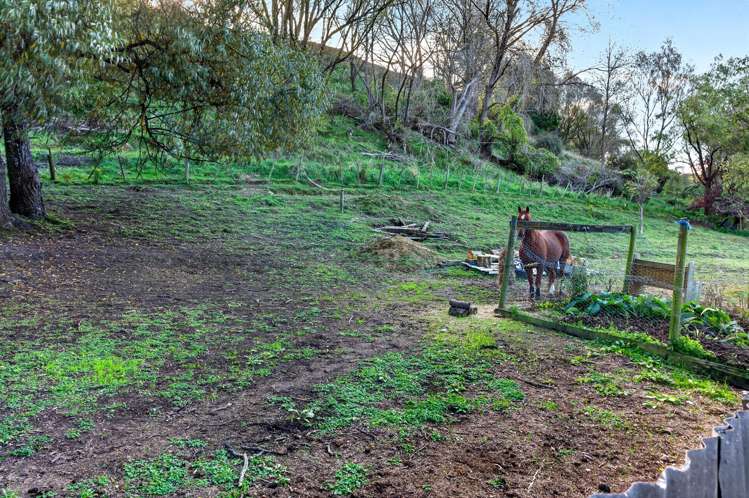 1351 Opaki Kaiparoro Road Mauriceville_20