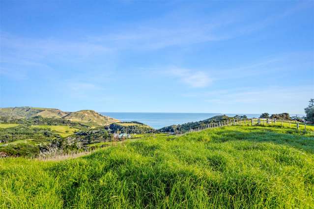 487 Oaia Road Muriwai_2