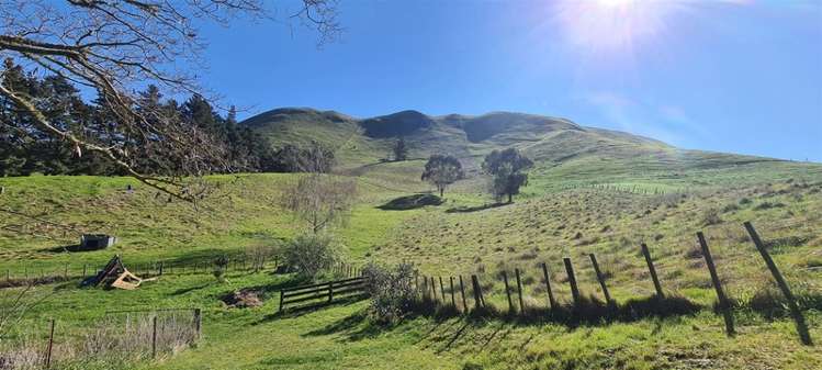 814 State Highway 2 Opaki_20