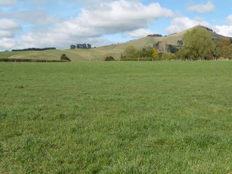 5326 Hampden-Palmerston Road Palmerston_10