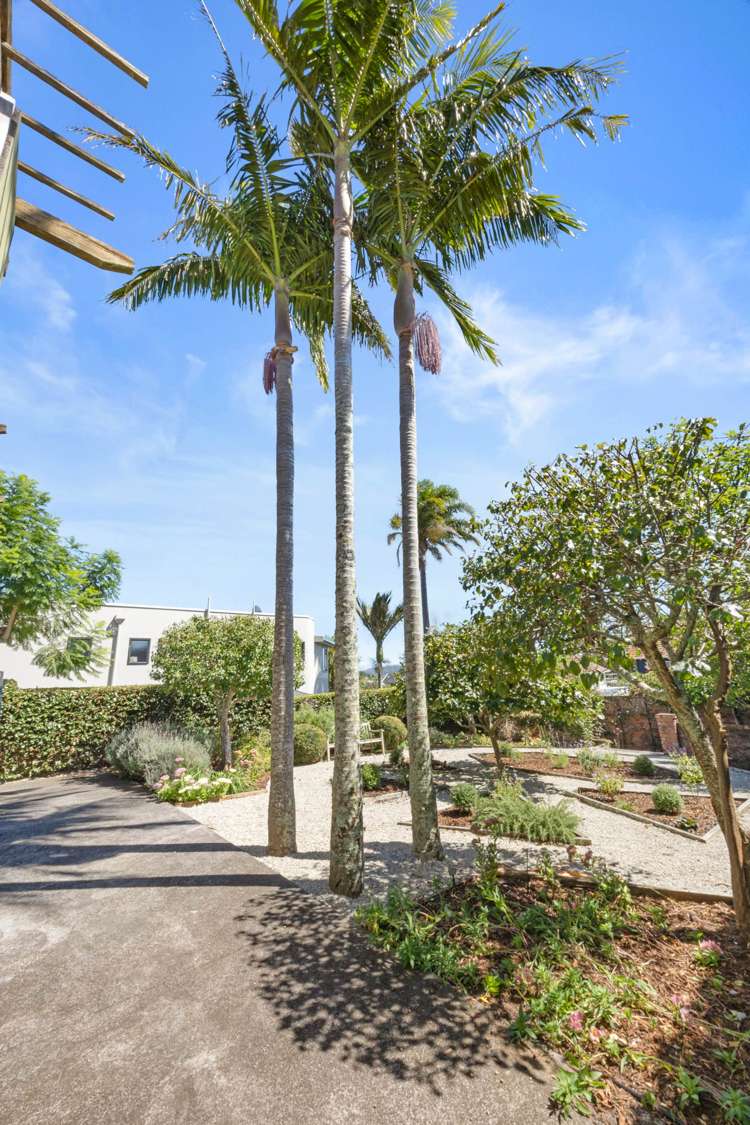 19 Emmett Street Herne Bay_78