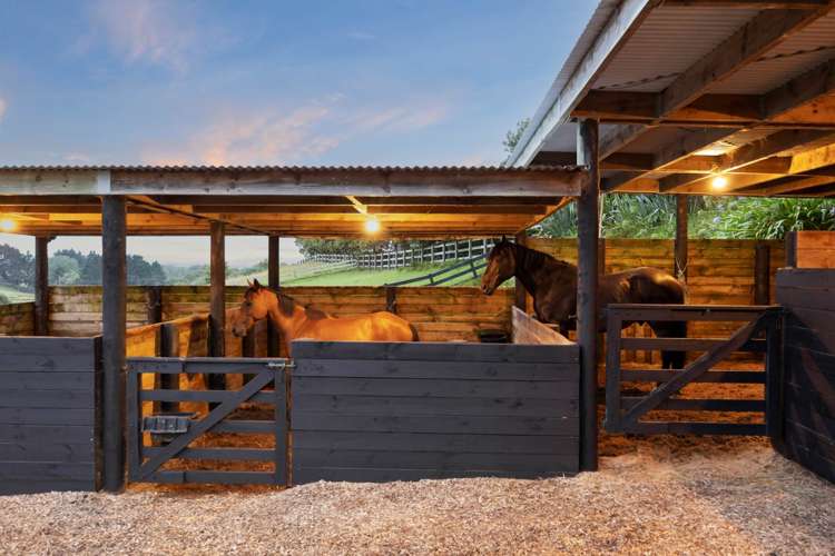 298 Rimmer Road Helensville_1