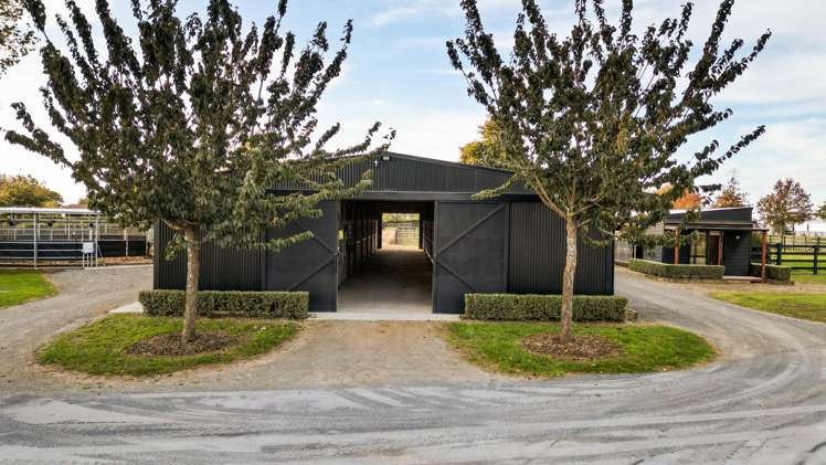 505 Bruntwood Road Tamahere_49