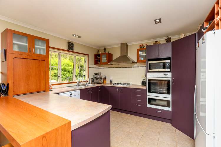 396 Tukapa Street Hurdon_5
