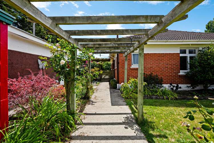 848 Earnscleugh Road Alexandra_21