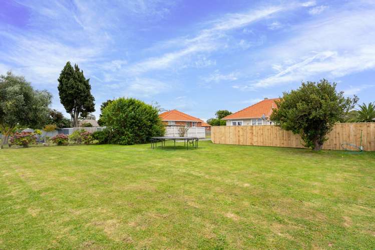 1016b Pukatea Street St Leonards_9