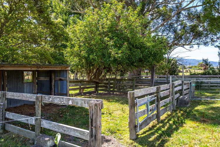 21 Bevan Street Woodville_10