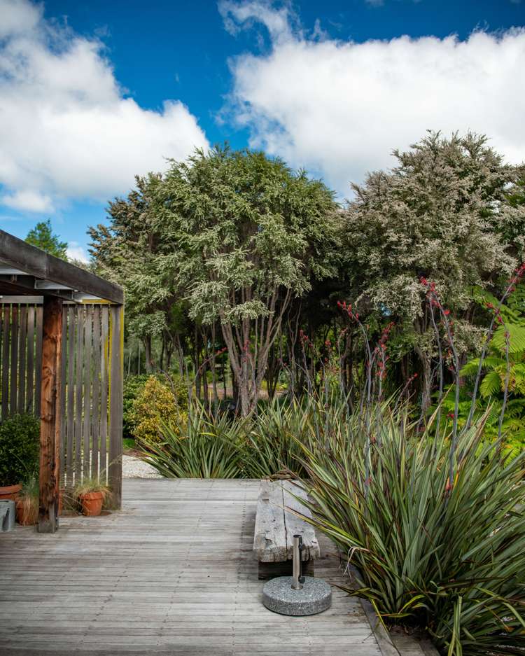 239 Redwood Street Witherlea_46