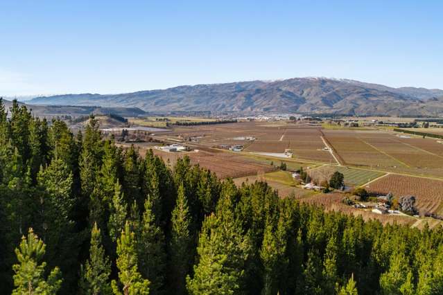 Lot 1 & 5 Ripponvale Road Cromwell_4