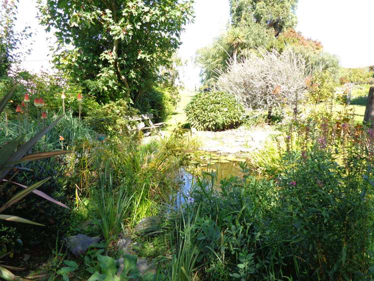 28 Finegand Township Road Balclutha_23