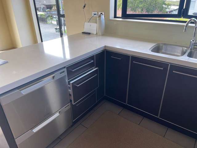 12 Bangor Street Pt Chevalier_1