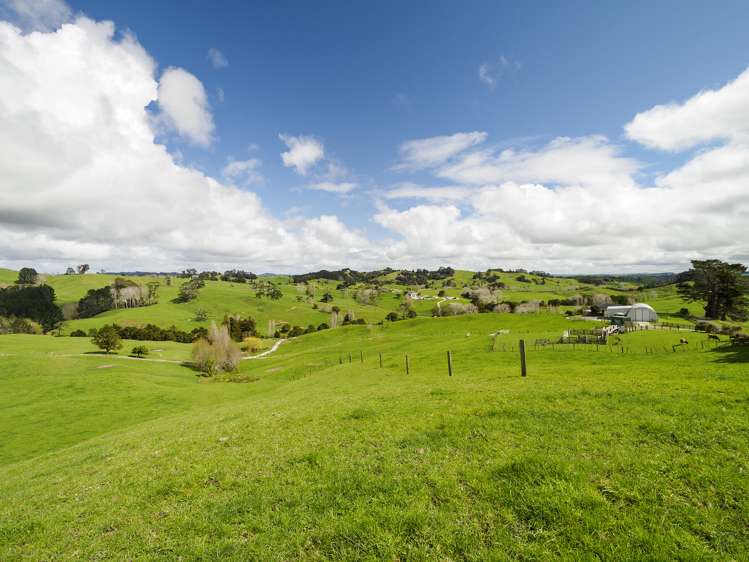 85 Heaven Road Wharehine_9