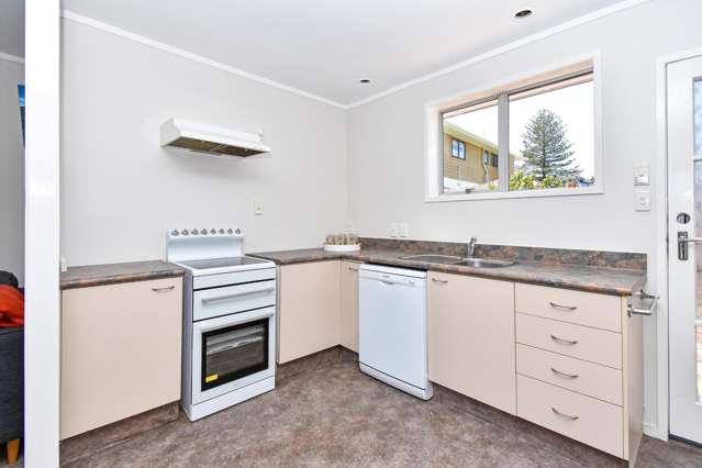 1/576a Weymouth Road Manurewa_3