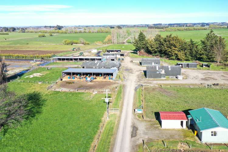 1128 Wyndham Road Wyndham_14