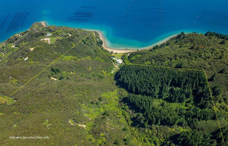 358 St Kilda Road Admiralty Bay_17