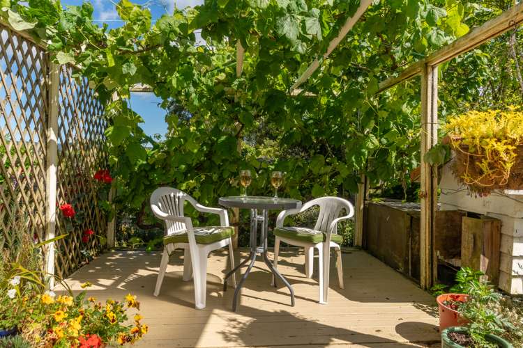 93 Crawford Road Te Kowhai_17