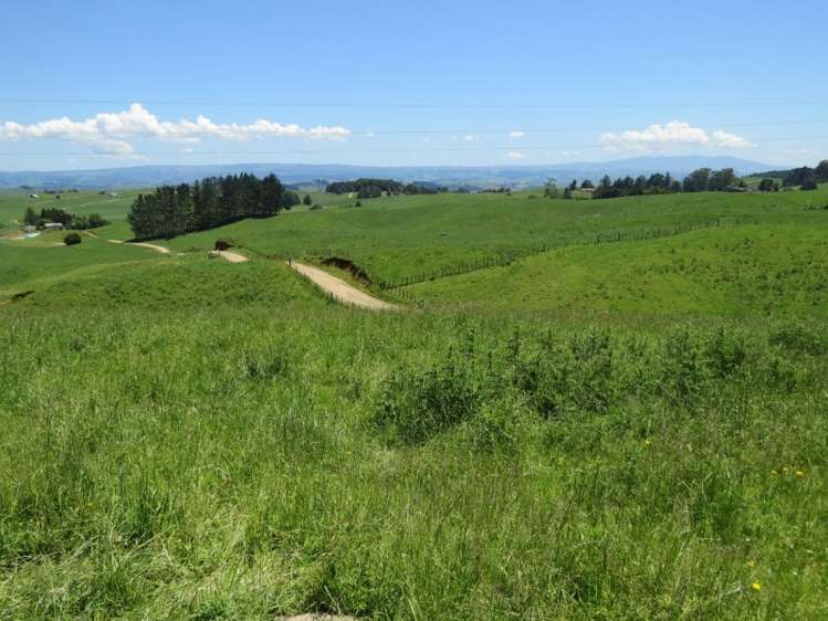 1392 Rangitoto Road Te Kuiti_13