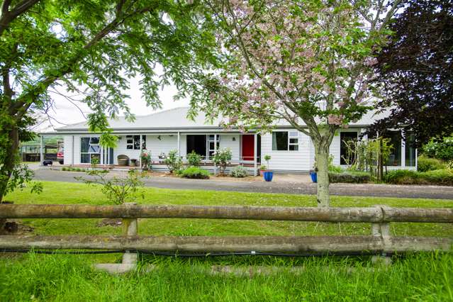 104 Hansen Road Makauri_1