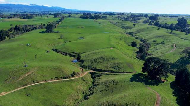 153 Knight Road Dannevirke_3