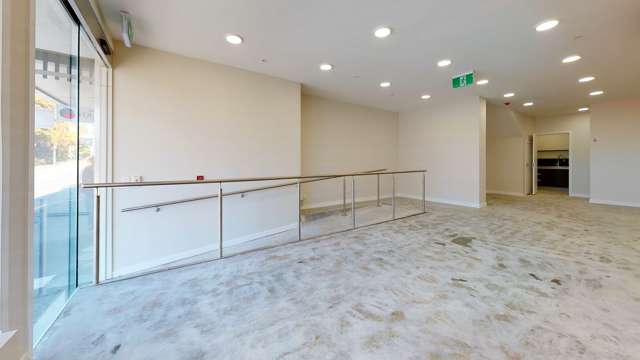 294 Willis Street Te Aro_2