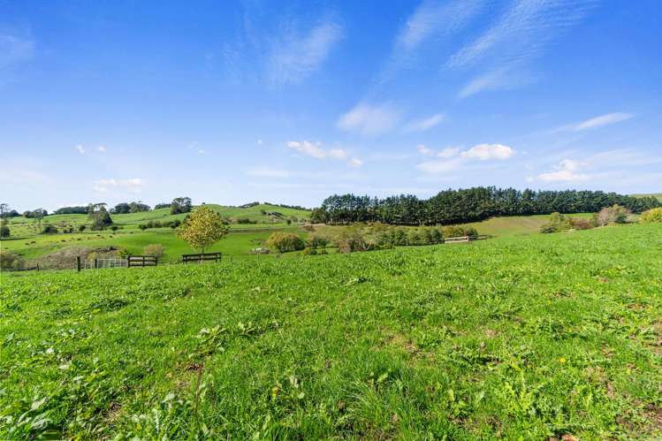 998 Limeworks Loop Road Te Pahu_33