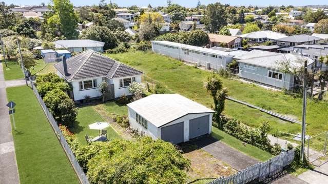 131 Seabrook Avenue New Lynn_2