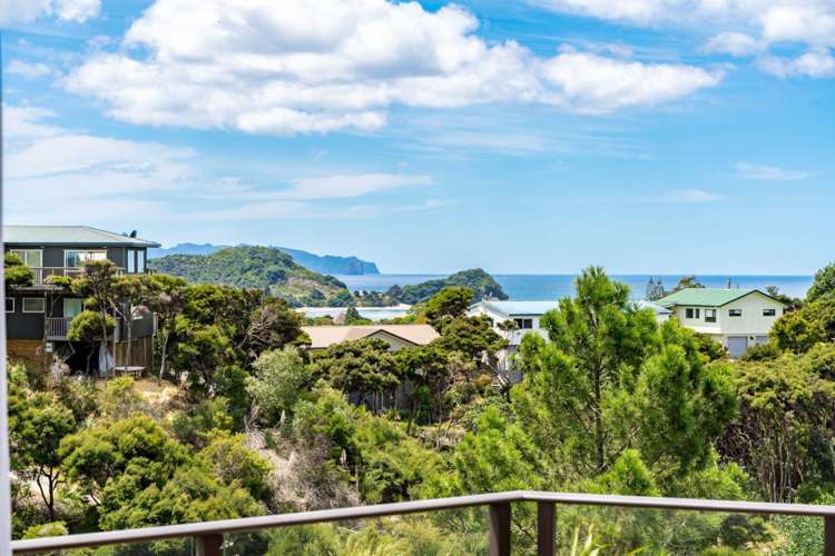 49 Greenview Drive Mangawhai Heads_0