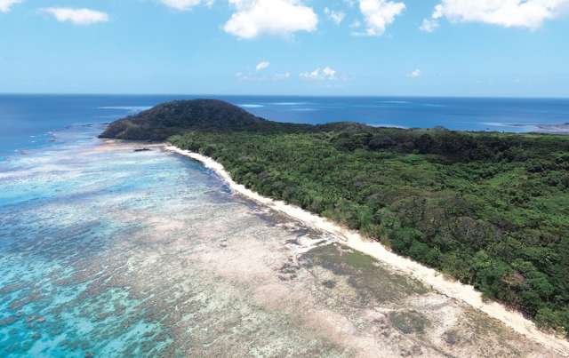 Matana Plantation Koro Island_3