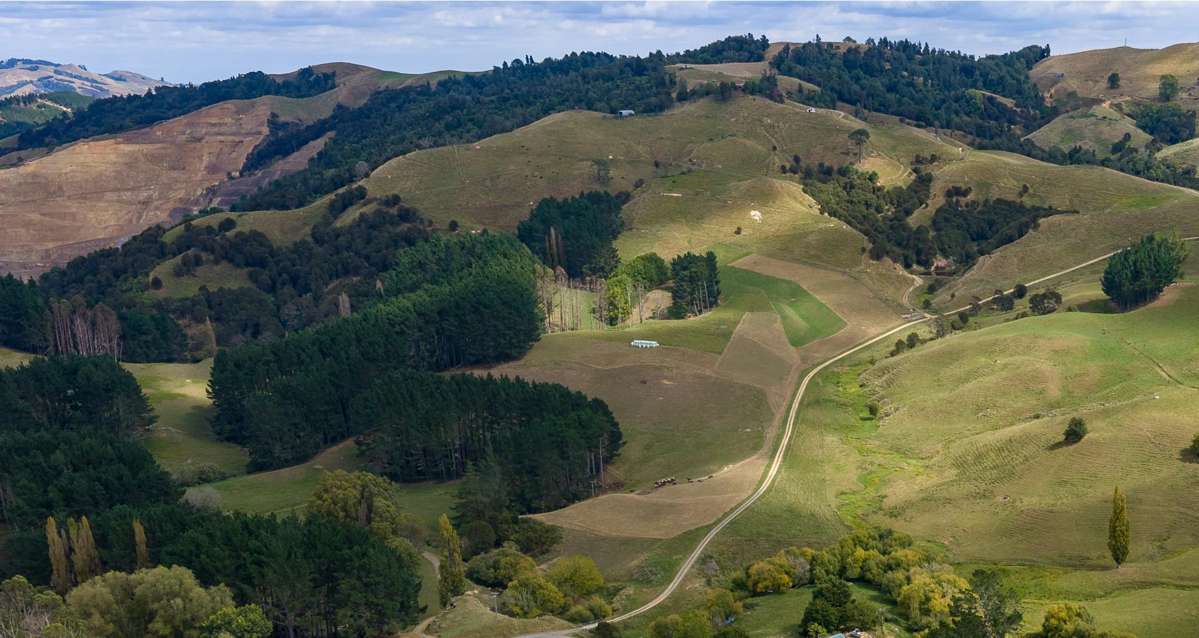 4/766 French Pass Road_0