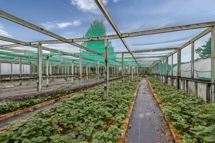 80 Carters Terrace Tinwald_17