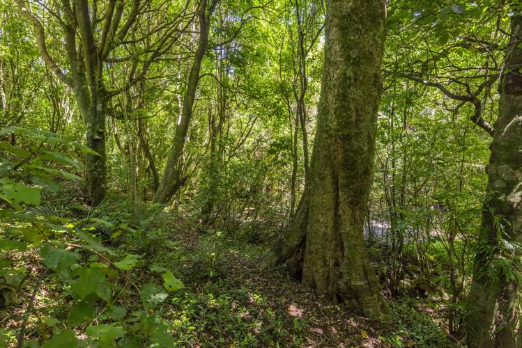 83 Belvedere Avenue Waikanae_32