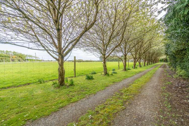 644 Ryal Bush Wallacetown Road Wallacetown_14