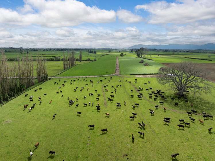 7096 State Highway 27 Matamata_22