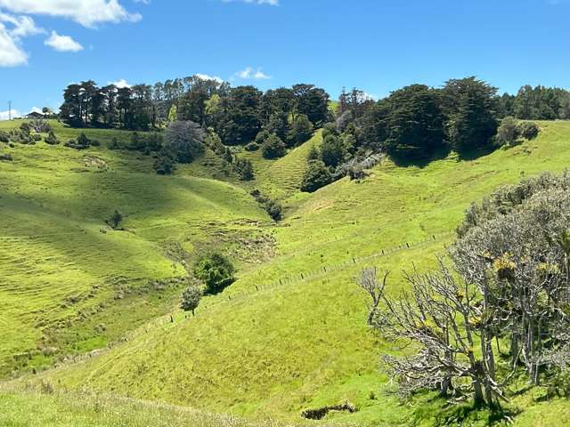 Lot 3 DP539905 Dill Road Kaipara Flats_2