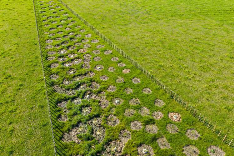 Lot 1 and 2 66 Oroua Road Kairanga_9